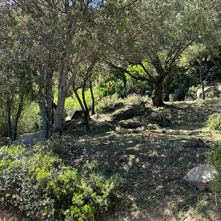 Casa Martinetti * Bonifacio (Corsica)